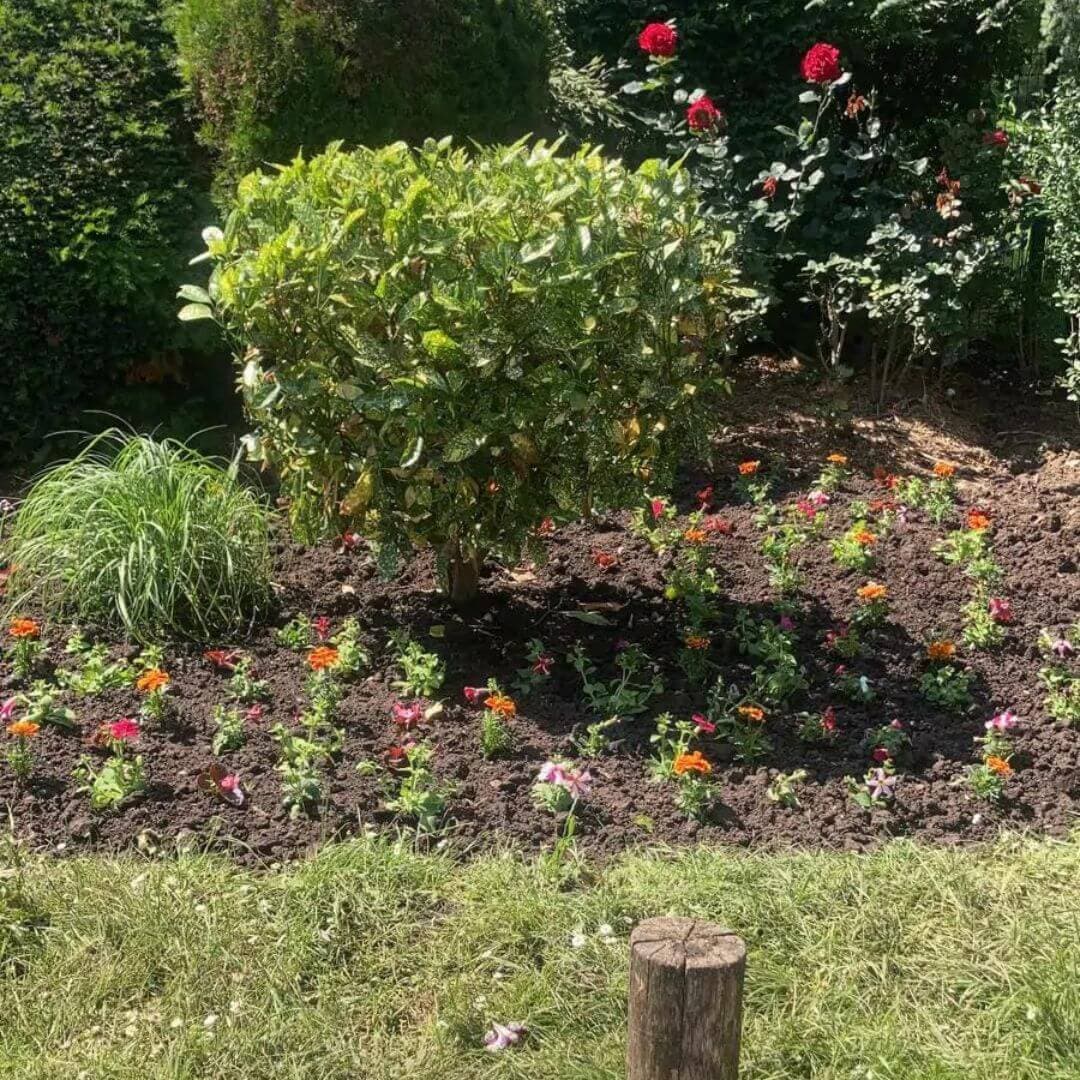 Aménagement de parterre