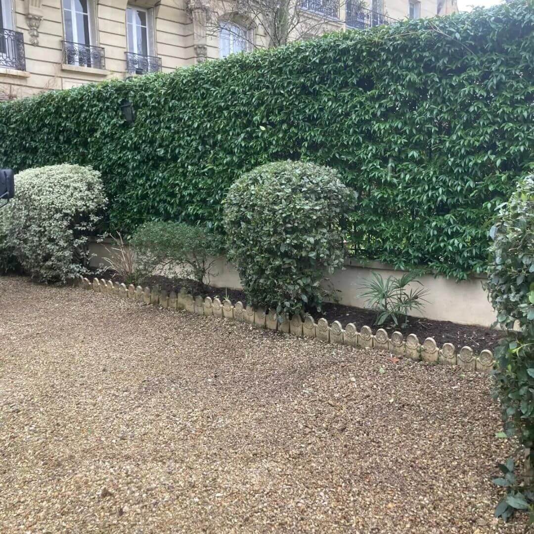 Jardin avec gravier